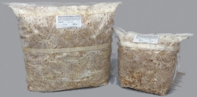 Sawdust Spawn in 3kg and 1kg Bags